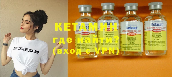 индика Заводоуковск