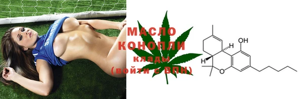 индика Заводоуковск