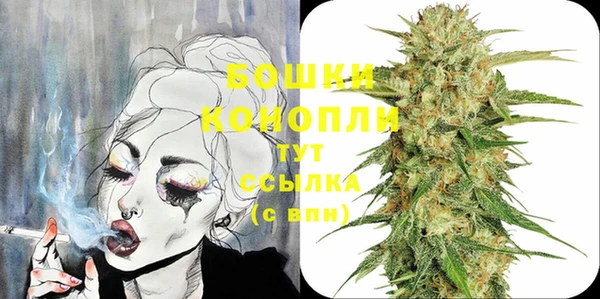 индика Заводоуковск