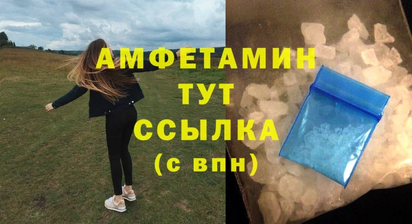 PSILOCYBIN Щигры