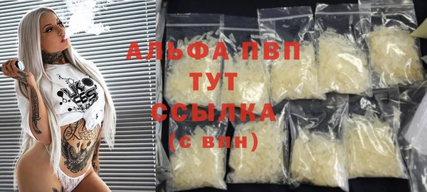 индика Заводоуковск