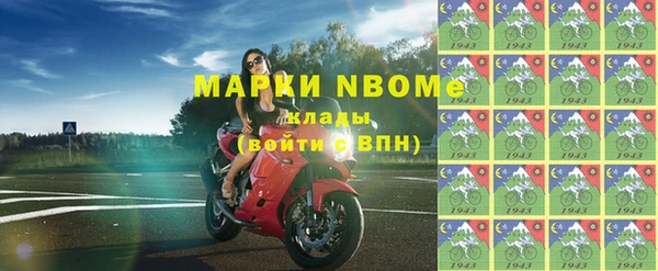 индика Заводоуковск
