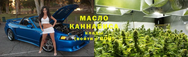 индика Заводоуковск
