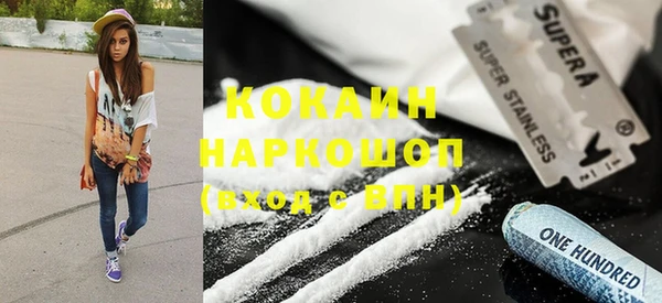 индика Заводоуковск