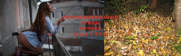 а пвп мука Зерноград
