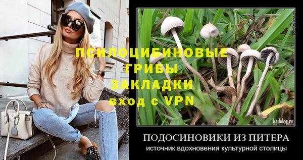 jwh Зеленодольск