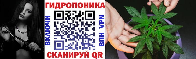 купить закладку  Судогда  Бошки марихуана White Widow 